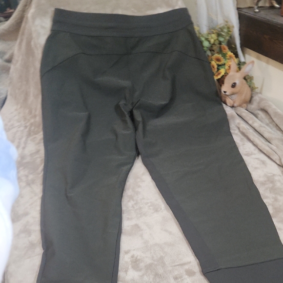 Athleta Highland Trek Joggers NWT, Immaculate. - Picture 10 of 11